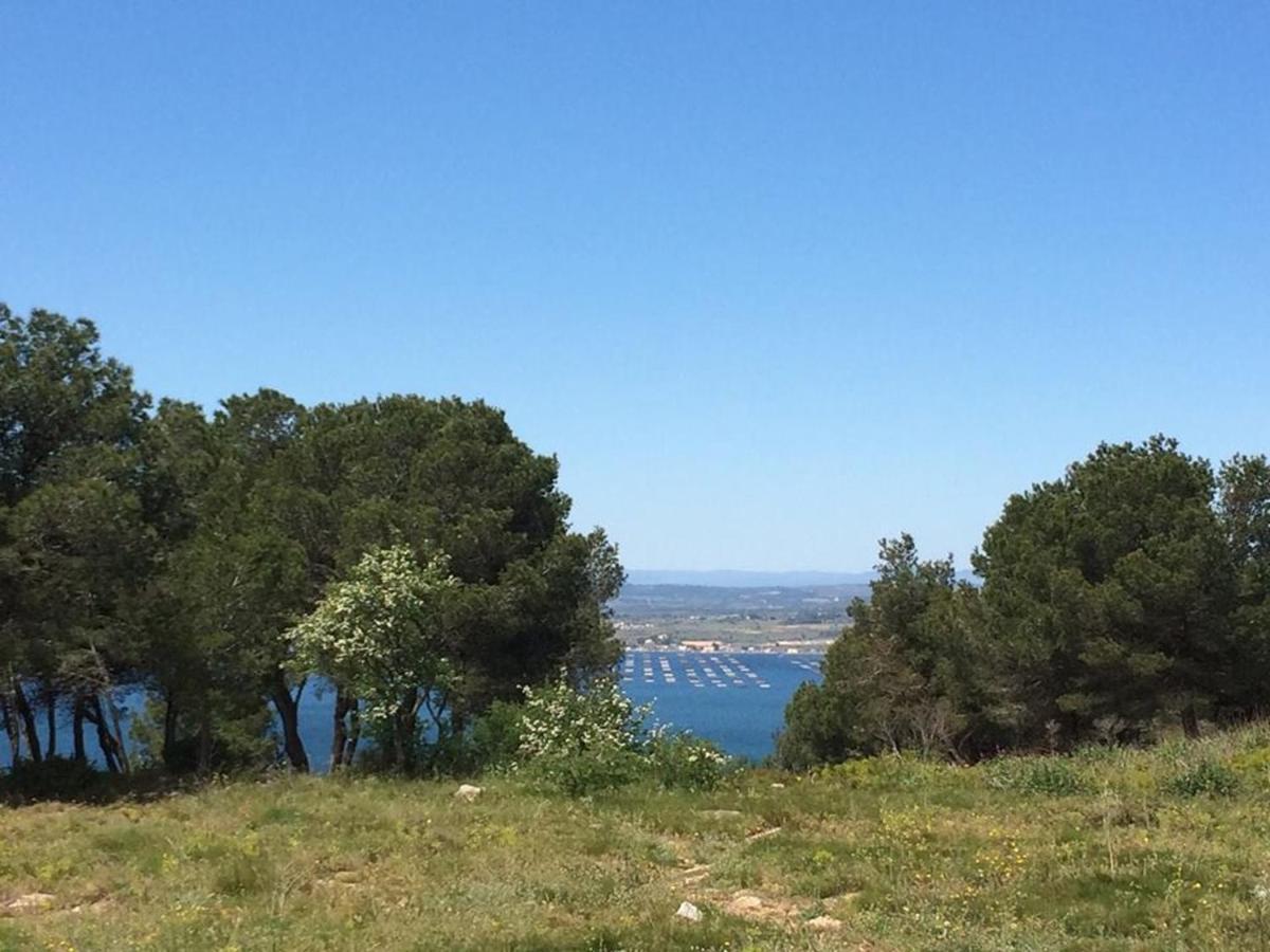 3P Climatise Avec Parking, Piscine, Proche Plage Et Commerces A Sete - Fr-1-338-497 Buitenkant foto